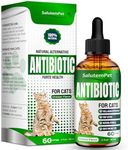 Cat Antibiotic for Infections, UTIs