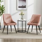 Finch Fox® Morris Velvet Dining Chair for Living Room, Bedroom, Home Office with Black Metal Legs in Peach Color (Set of 2)