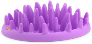 Company of Animals CATCH Interactiv