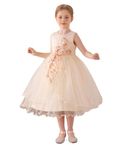 Lenefu Flower Girl Dress,Toddler Formal Dress Birthday Party Wedding Floral Embroidered Tulle Satin Dresses for Kids Age 2-12(Champagne 150)