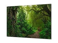 Modern Glass Picture - Contemporary Wall Art SART01 Nature Series