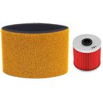 AHL Air Filter with Oil Filter 11013-1275 Compatible with Kawasaki Bayou 220 300 250 KLF220 KLF300 KLF250 KLF220A KLF250A KLF300B KLF300C 4x4