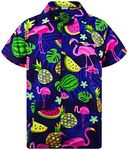 King Kameha Hawaiian Shirt Men Fruit-Designs Regular-Shirt Short-Sleeve, Flamingo-Melon, Blue, M