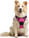 rabbitgoo Dog Harness, No-Pull Pet 