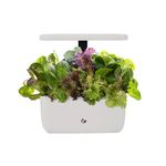 AeroGarden Harvest 2.0, Indoor Garden Hydroponic System with LED Grow Light, Holds up to 6 Pods, Cream