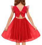 Arshiner Tutu Dress for Girls Cotton Tulle Summer Flower Girl Dresses Red Size 6