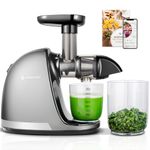 AMZCHEF Juicer Machines - Cold Press Slow Juicer - Masticating Juicer for Whole Fruits and Vegetables - Delicate Chew No Need to Filter - No BPA Juice Extractor with 2 Cups and Brush - Grey