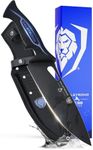 Dalstrong Chef Knife Professional -