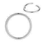 8mm Septum Ring Silver Nose Rings Hoop 18 Gauge Nose Hoop Helix Daith Tragus Earrings Hinged Segment Septum Clicker Lip Rings 18g Cartilage Earring Nose Piercing Jewelry Surgical Steel