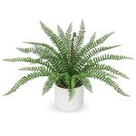 Faux Plant Indoor in Ceramic Pot 16" Artificial Potted Boston Fern Fake House Plants for Desk Office Bathroom Garden Decoration