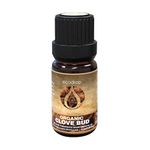 Ecodrop Clove Bud Essential Oil - 10ml Bottle | 100% Pure & Natural Therapeutic Grade Eugenia Caryophyllata Oil | Aromatherapy Massage, Diffuser, Bath & Candle Oil for Focus, Pain & Skin | Organic