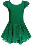 Arshiner Ballet Leotards for Girls Ballet Leotard with Skirt Toddler Flutter Sleeve Dance Dress Green 2-3T