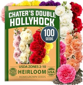 HOME GROWN Hollyhock Chater's Double Mix 100 Seeds (0.9g) – Biennial Blooms Year 2, Double Flower Hollyhock Seeds for Planting, Perennial Reseeding, Cottage Garden, USDA Zones 3–9 (Alcea rosea)
