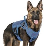 rabbitgoo Tactical Dog Harness for Large Dogs Breed, No Pull Adjustable Military Pet Service Vest with Molle Loop Panels and Easy Control Handle for Training Hunting Walking Hiking, Blue, L