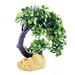 emily pets Decorative Artificial Plastic Plant with Real Effect Aquarium Decoration Ornament for Fish Tank(Green)