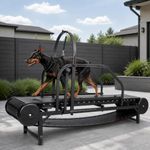 Dog Treadmill for Large Dogs Medium Dogs,Adjustable Ramp Canine Running Slatmill Machine with Pedometer for Exercise & Healthy & Fit Pet Life, Used Indoor Home Up to 500LBS