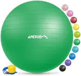 APEXUP Yoga Ball Exercise Ball, Ant