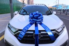 Chexin Blue Bow Large Mesh for Car Happy Birthday Gift Bicycle Gift Bow Large - XXL 45 cm, Giant Gift Bow for Weddings, New Homes, Parties, and Ribbons 600 cm Long