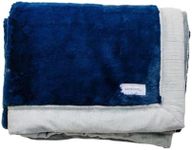 SARANONI Super Soft Comfy Lush 60" x 40" Blanket for Kids and Teens (Navy/Gray)