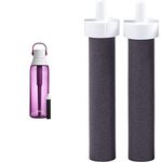 Brita Premium Filtering Water Bottle with Filter (Orchid, 768 mL) + Brita Water Filter Bottle Replacement Filters (2 Count)