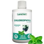 Liquid Chlorophyll Mint – Cold Extracted from Non-GMO Alfalfa - Detox - Alkaline - Natural Body Deodorant – Antioxidant - Made in Canada (500 ml)