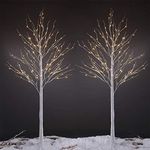 LIGHTSHARE 8 Feet Birch Tree, 132 L