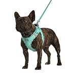 AMTOR Dog Harness with Leash Set,No