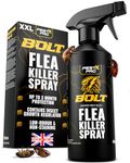 Pest X Pro Bolt Flea Killer Spray 500ml – Fast-Acting Permethrin Formula – Flea Spray for the Home, Carpets, Furniture – Non-Staining – Low Odour – Strong Household Flea Treatment and Pest Control