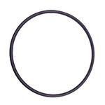 CX900F 0-240 Tank Lid O-Ring for Hayward Star-Clear Plus U9-228A C751 C900 C1200 C17502 Pool Cartridge Filter (1PCS)