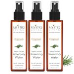 Mystiq Living Rosemary Water for Hair Growth, Steam Distilled 100% Pure and Natural Hydrosol, (Pack of 3) - 300ML