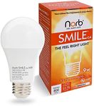 NorbSMILE Full Spectrum Sun Light B