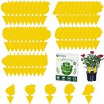 Fruit Fly Traps, TRIITECH 50 Pack S