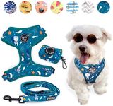 3-Piece Walkies Bundle [Pipco Pets]