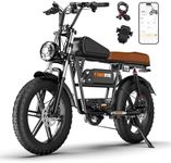 T73 Retro Style Electric Bike for A