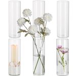 Glasseam Tall Glass Vase, Hurricane Vases 6Pcs Transparent Vase for Flowers, 25 x 8.5 cm Tall Vases for Decor Table Decorations Centrepiece, Glass Cylinder Vases for Floating Candles Wedding Decor