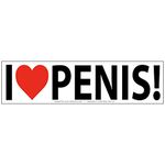 Witty Yeti's I Heart Penis Prank Bumper Sticker 10 Pack.