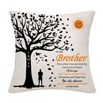 Brother Gifts from Brother Sister Brother Throw Pillow Cover Cushion Cover Cushion Case Brother Birthday Gifts Graduation Gifts (Brother)