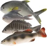 Gresorth 4 PCS Fake Fish Decoration Artificial Hanging Pomfret Snapper Sea bass Display Food Model Lifelike for Home Kitchen Shop Hotel Restaurant