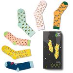 Hexafun Unisex 100% Organic Premium Cotton Stylish Socks, Crew Length (Pack of 6)