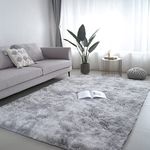 Vafodo 5X8 Feet Water Gray Soft Area Rugs for Bedroom Living Room Ultra Soft Modern Fluffy Throw Carpets for Girls Boys Kids Room Shaggy Fluffy Rugs (5X8Feet, Water Gray)