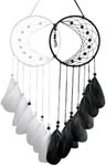 Holmgren 200pcs Black White Rooster Feathers for DIY Crafts Home Decor Wedding Wall Decor (Black and White)