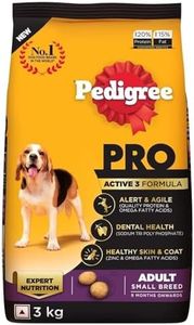 Pedigree P