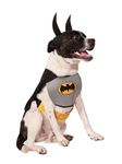 Rubies Costume Co DC Heroes and Villains Collection Pet Costume, Classic Batman, Large