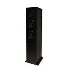 Denon Floor Standing Speakers