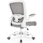 FelixKing Ergonomic Office Chair, A