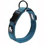 Truelove Dog Training Collar TLC5011 Reflective Premium Buckle Nylon Webbing Pet Dog Collars,High Grade Nylon Webbing No Choke Basic Collars Now Available (2XL, Blue)