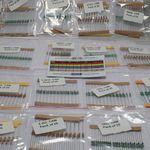 Lalitha Assorted Resistor Kit - 500 Pieces, 20 Values, 1/4 Watt, 5% Tolerance, for DIY Hobby Projects