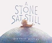 A Stone Sat Still: (Environmental and Nature Picture Book for Kids, Perspective Book for Preschool and Kindergarten, Award Winning Illustrator) (Brendan Wenzel)