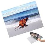 Dogs Pooping in Beautiful Places Calendar 2024, Pooping Puppies, Funny Pooping Puppies Wall Calendar 2024, Wall Art Humor Calendar Prank Gift for Halloween, Birthdays