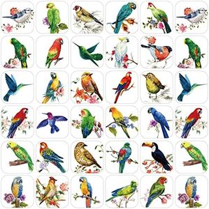 Hotop 600 Pcs Bird Stickers for Kids Bird Photos Stickers Animals Bird Stickers Realistic Bird Stickers Teachers Student Stickers for Teacher Supplies Classroom Animals Bird Theme Party Favor